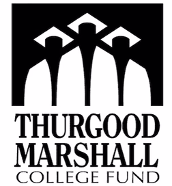 28c6d7_a0c7d718feff4d34b58bce76c4390355~mv2